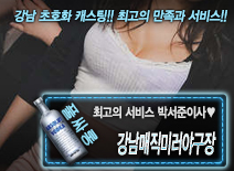 [강남매직미러야구장-박서준이사]