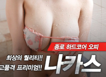 [종로오피-나카스]