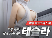[여수오피-테슬라]