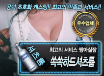 [쏙쏙하드셔츠룸-짱아실장]