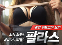 [광양오피-팔라스]