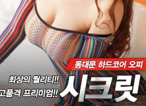 [동대문오피-시크릿]