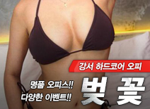 [강서오피-벚꽃]