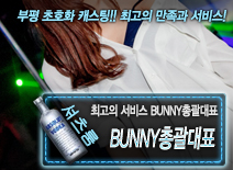 [BUNNY총괄대표-BUNNY총괄대표]