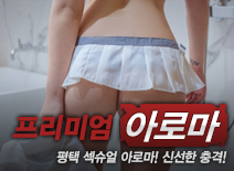 [평택건마-프리미엄]