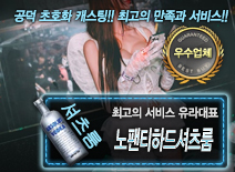 [노팬티하드셔츠룸-유라대표]