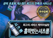 [홀딱벗는셔츠룸-박아라실장]