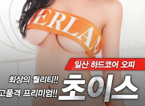 [일산오피-초이스]