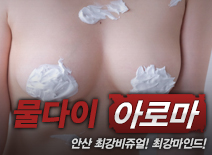 [안산건마-물다이]
