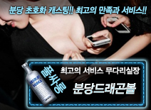 [분당드래곤볼-무다리실장]