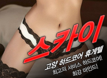 [고양휴게텔-스카이]